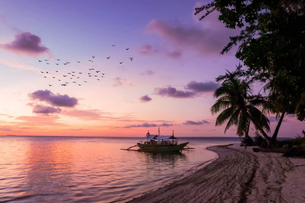 A magnificent photo of a heavenly beach, under a sunset sky in shades of pink, purple and orange. Coconut palms line the fine sandy beach, a boat is moored at the water's edge, and a group of birds fly in the sky.